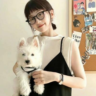 谋杀合约